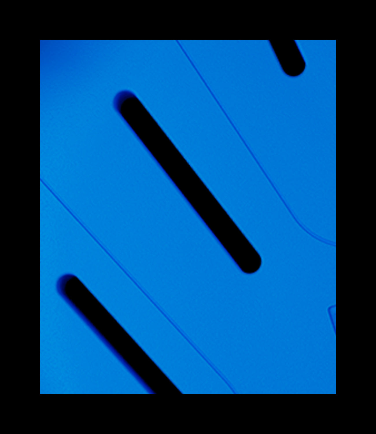 ZERO-G-B1-L BACK PROTECTOR